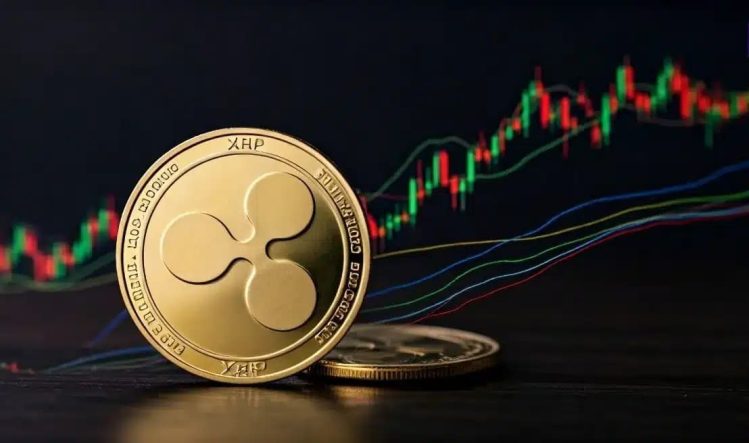 You are currently viewing What’s Next For XRP After Crashing Below $3? Analyst Answers